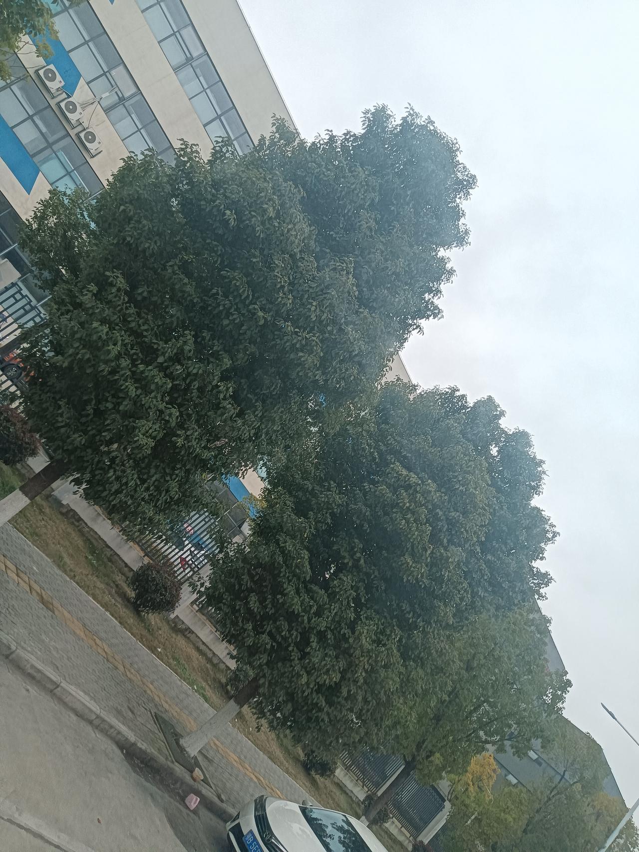 长城汽车诺博问你三个问题！
第一，为啥你们厂里招聘绝对大部分，用的都是劳务中介推