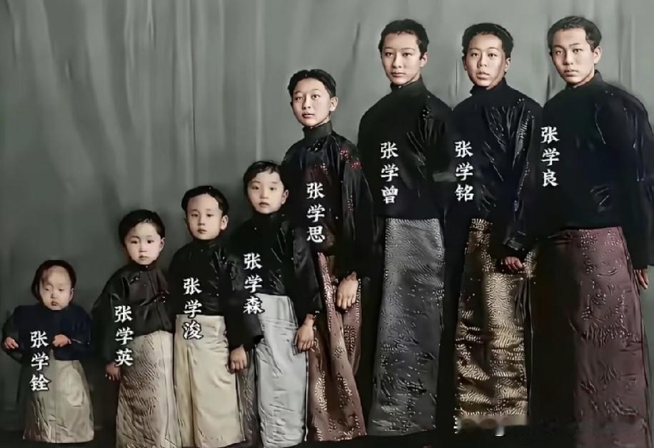 1927年张作霖八子珍贵合影，一年后父亲遇难，八兄弟此后人生差距到底有多大？