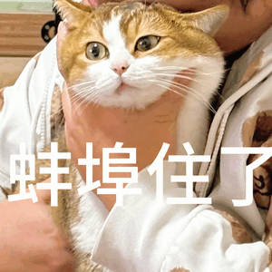 孙宇晨景甜铁公鸡愤怒猛啄金丝雀，香蕉自己吃，午餐也是自己吃，就是想谈恋爱不花钱～