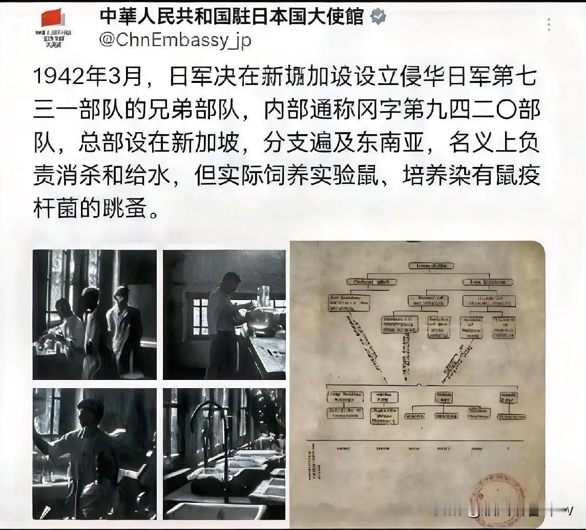 一直标榜“中立”的新加坡，竟曾是日军细菌战的核心据点？11月25日，一组尘封80