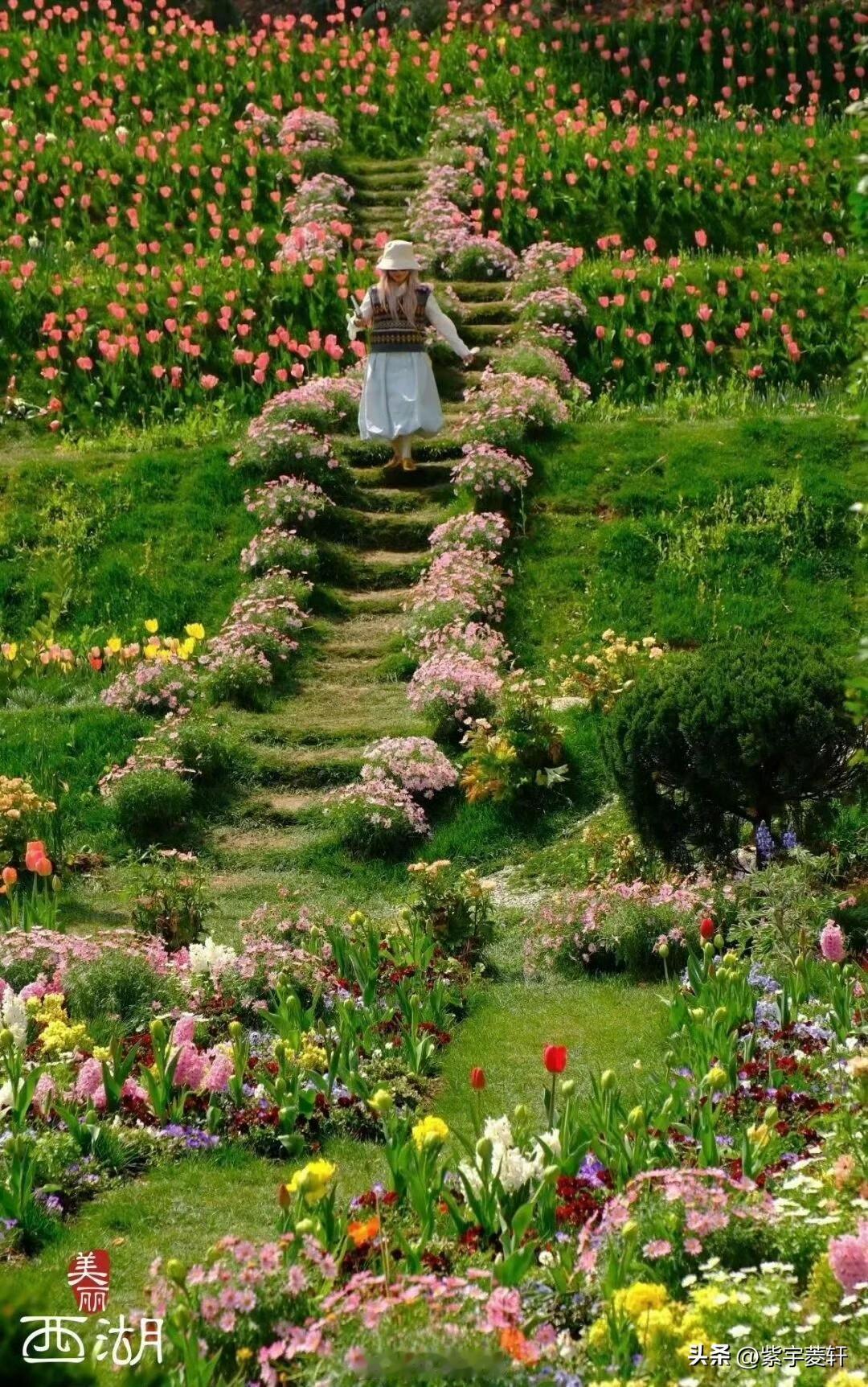 会啊，这不是最基本的礼貌吗？
难道提问题的人都不道谢的吗？[捂脸]