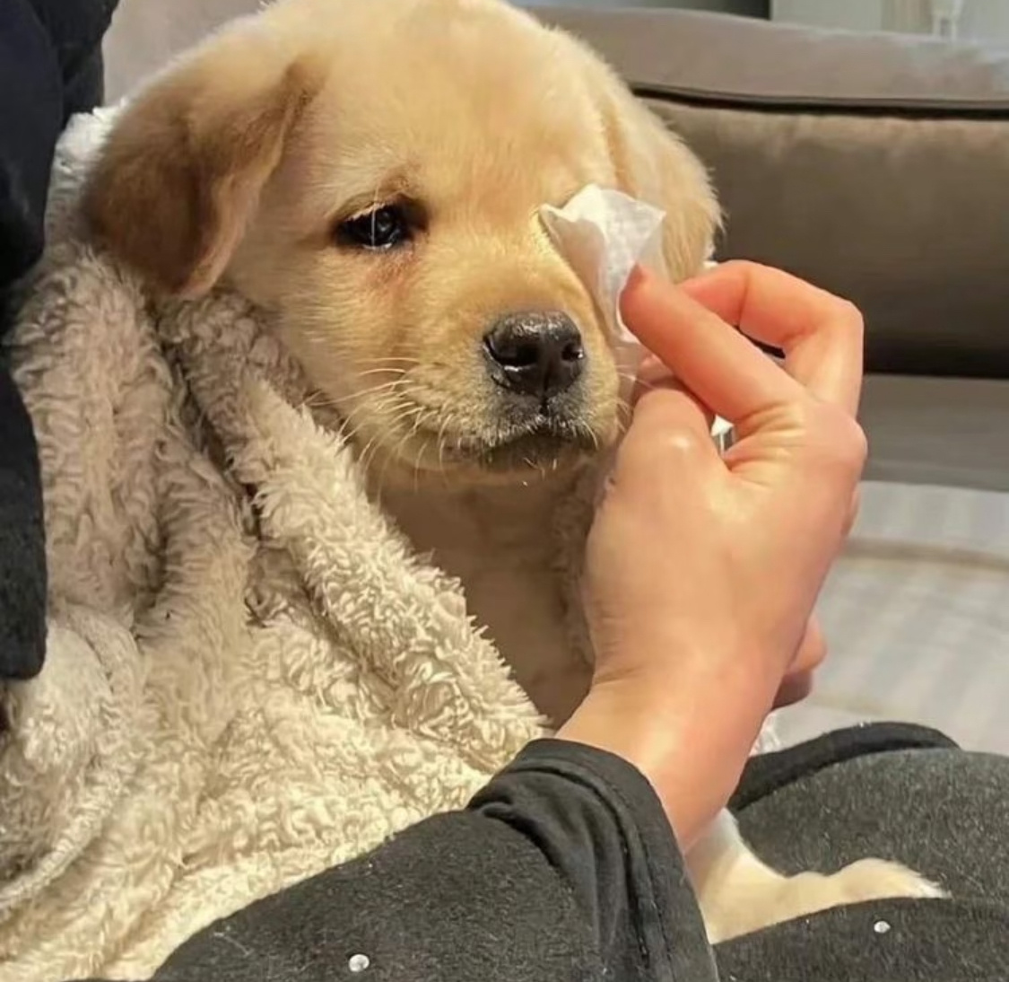 其实把龙过理解成女徒弟就会变得更好理解，不懂BG，还不懂GL吗（bushi）？重