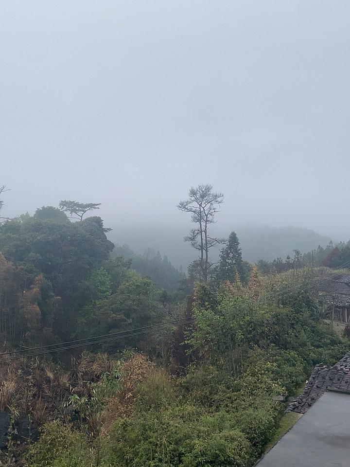 一个人站在家顶楼，看家乡美丽的风景，只能鸟语花香