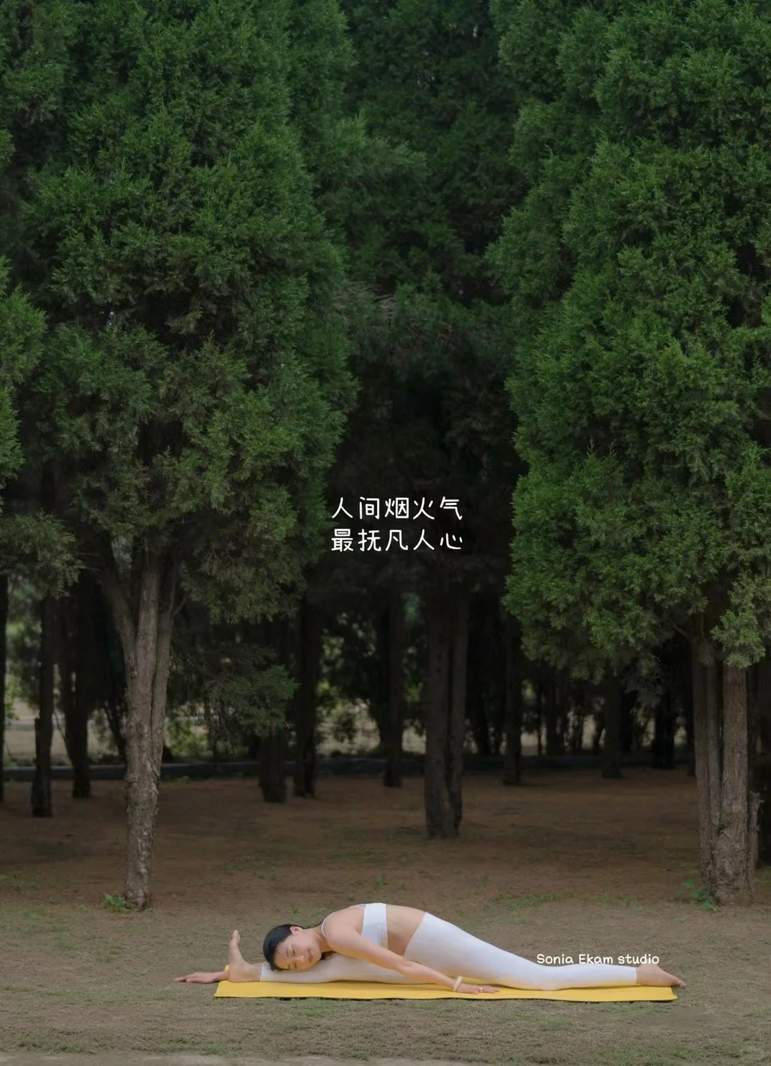 发一条朋友圈