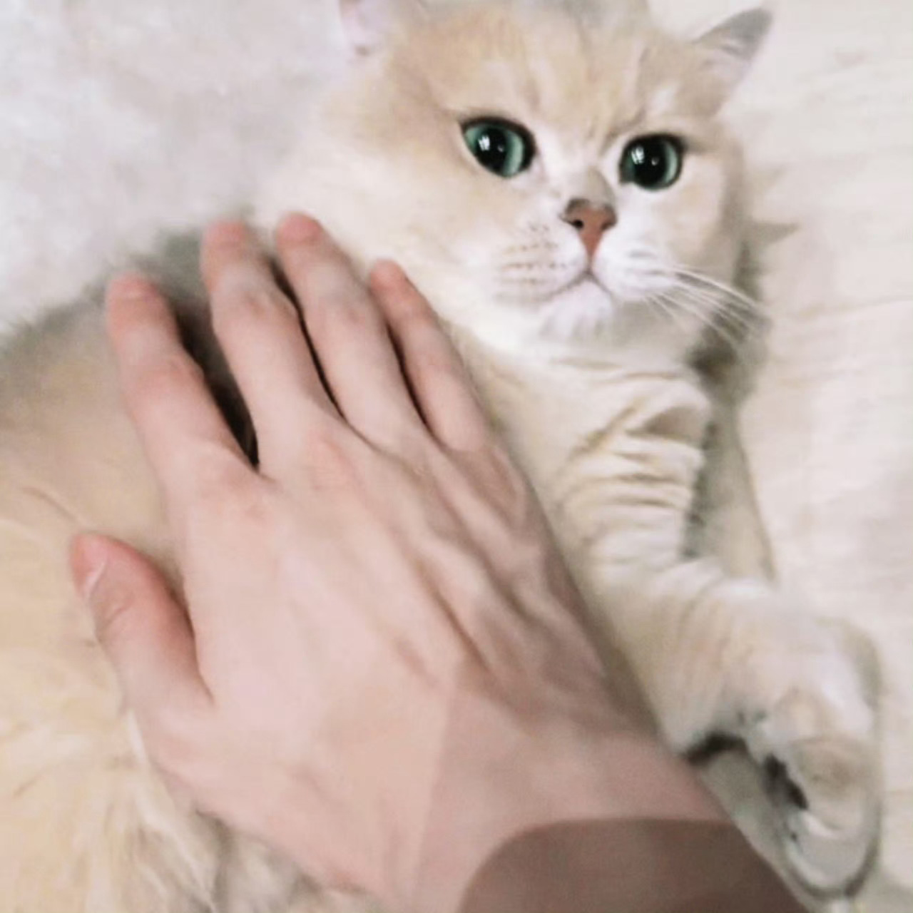 早安宝宝 谁能忍住不看手