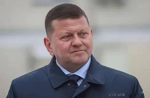 前乌军总司令扎卢日内最近在英国当大使时，聊起俄乌战争可算说了大实话。他说自己以前