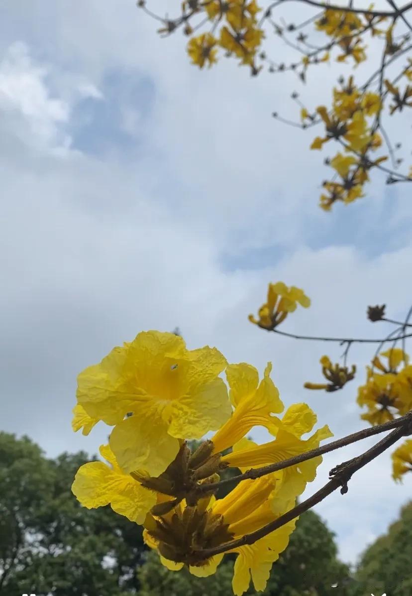 春日生活打卡季春季很容易抑郁吧