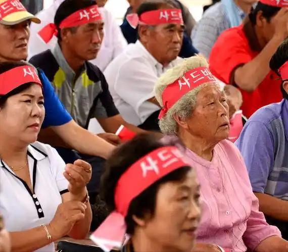 韩国生育率突然上来了，这是因为，韩国终于发现了解决单身男性结婚难题，到底症结在哪