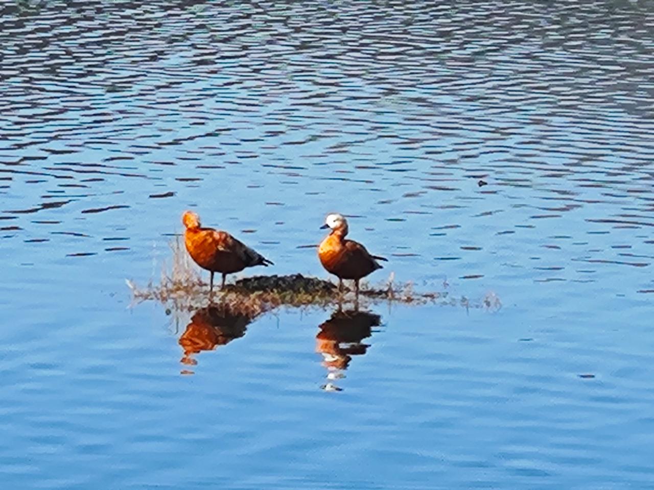 两个人有缘在一起过日子，年轻的时候不知珍惜，吵吵闹闹半辈子多，年龄大了以后，经历