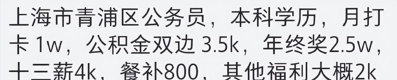 上海体制内工资待遇应该是全国的天花板了。认识一个朋友正好就是这个青浦区公务员，大