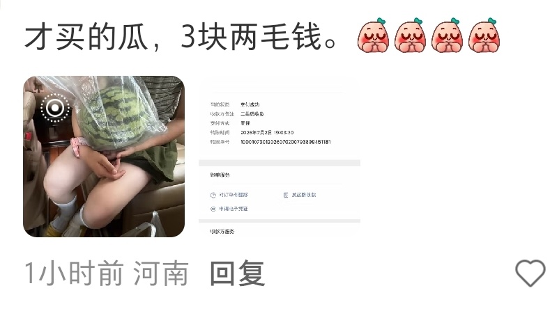 我有点事去河南一趟 