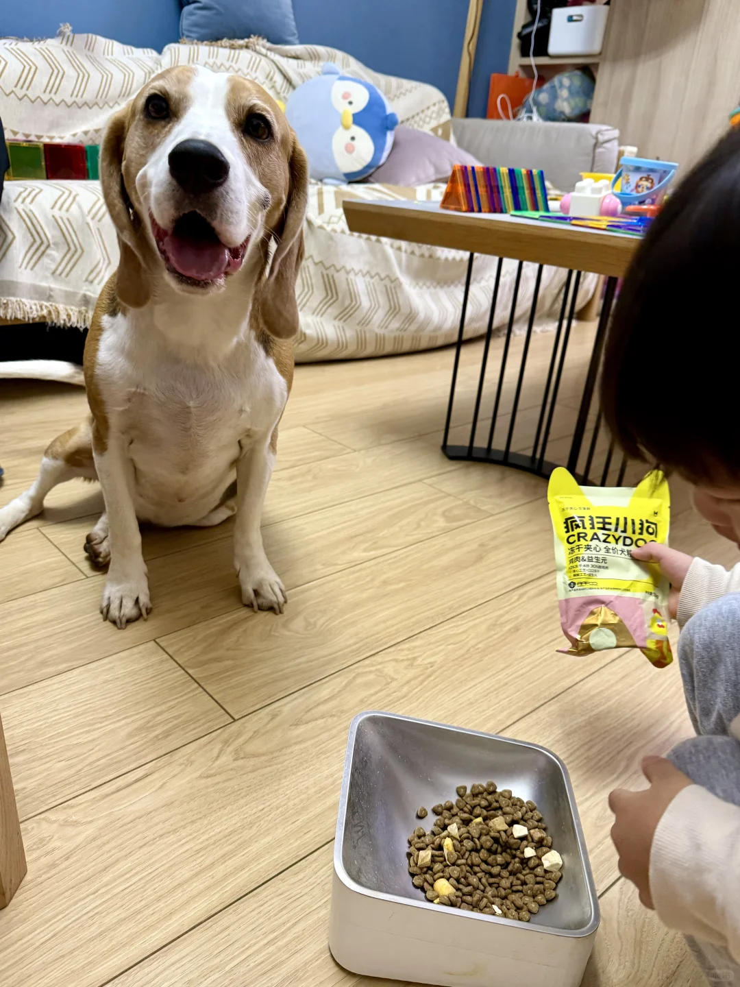 小比：开饭了开饭了开饭了了了了