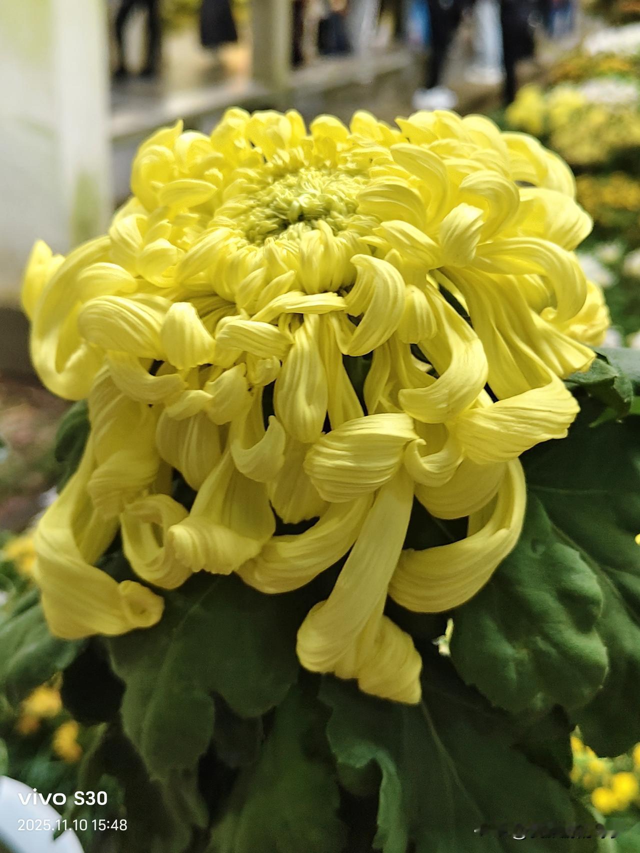 冬日生活打卡季