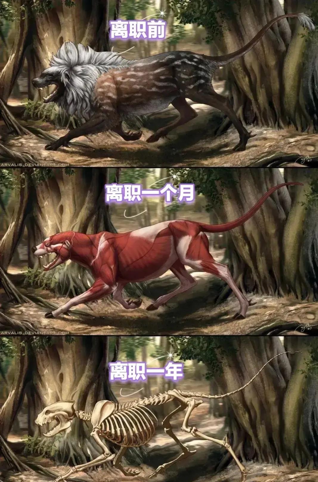 没有低保不要轻易离职啊[泪奔]