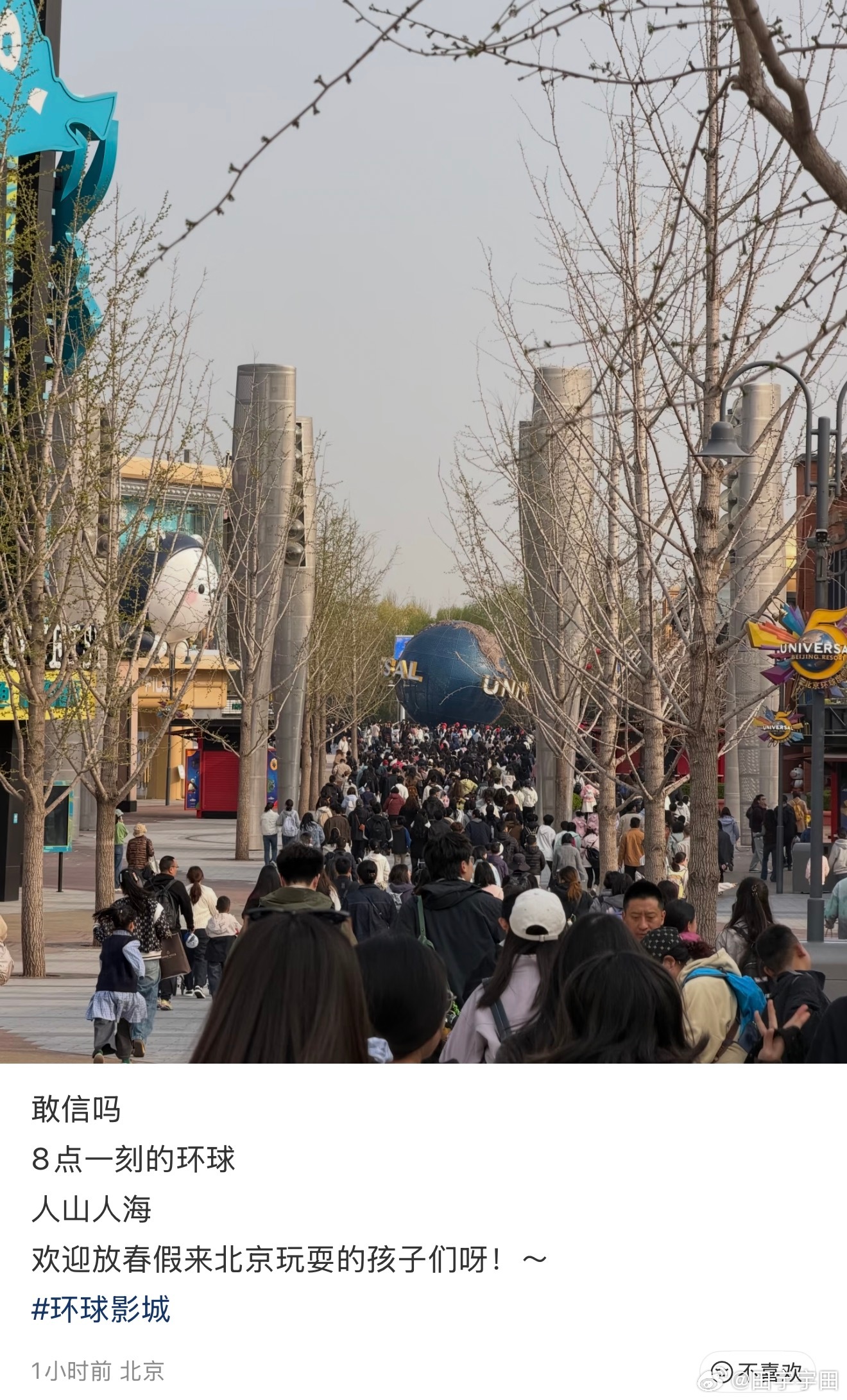 春假是个什么假？好像只有南方的同学在放吗怪不得昨天上海回北京满飞机的小朋友飞机每