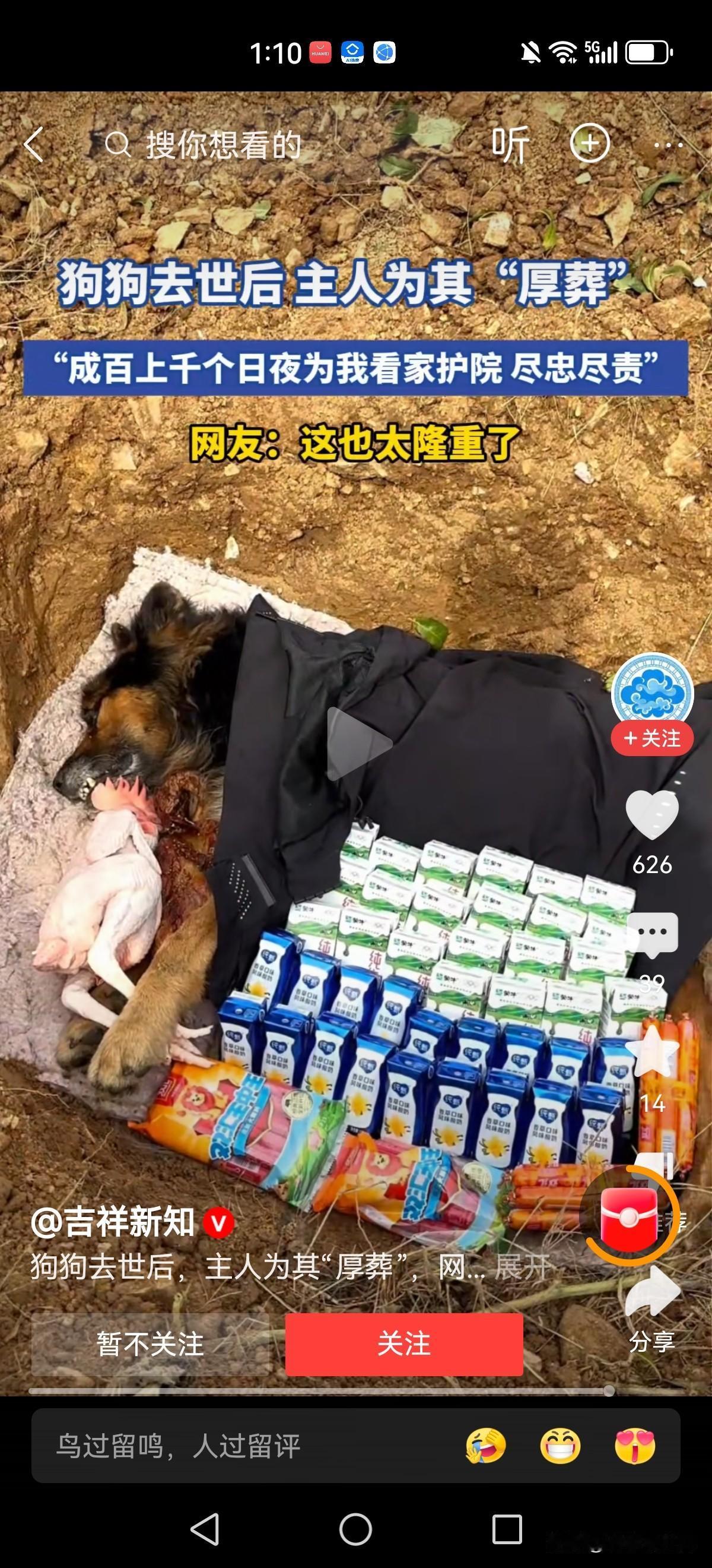 太隆重了！陪伴数年的狗狗去世了，主人给予高规格厚葬，鸡鸭鱼肉火腿肠牛奶，一应俱全