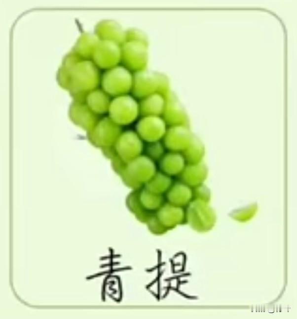 采桑子46·青提
       冰绡串就玲珑玉，颗颗凝光，坠绿枝旁，似把春云缀碧