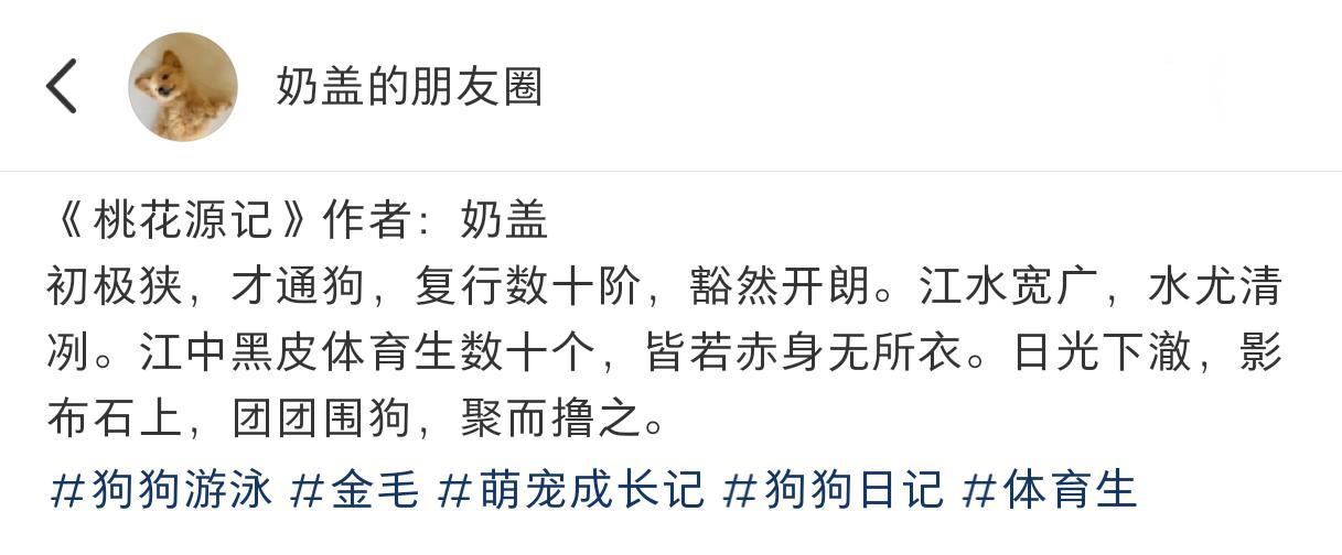 #带狗去游泳遇到一群黑皮体育生# 谁懂啊，带狗去游泳遇到一群黑皮体育生！#体育生