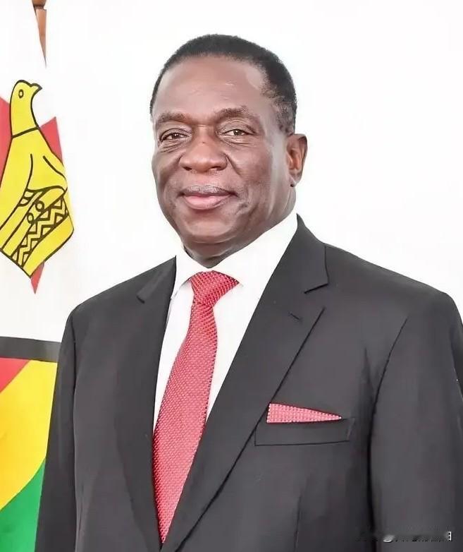 前脚巴拿马不顾中方反对，强行接管了巴拿马港口，后脚津巴布韦突然宣布暂停锂矿出口。