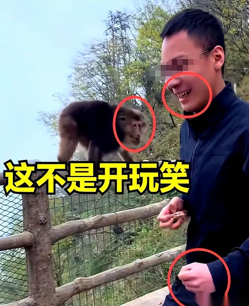 他推完猴子那一刻，双手握拳，庆祝。
我敢打赌，他当时觉得自己帅爆了，是整个峨眉山