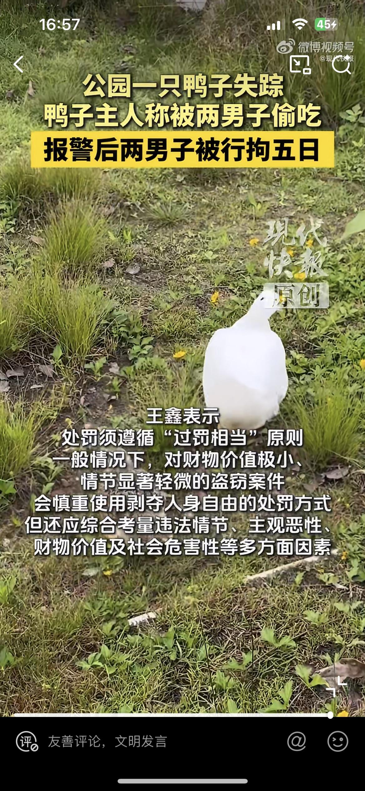 中山两男子偷公园一只鸭吃了，喜提五日拘留，判罚惹争议。原来这只白色的鸭子是中山一