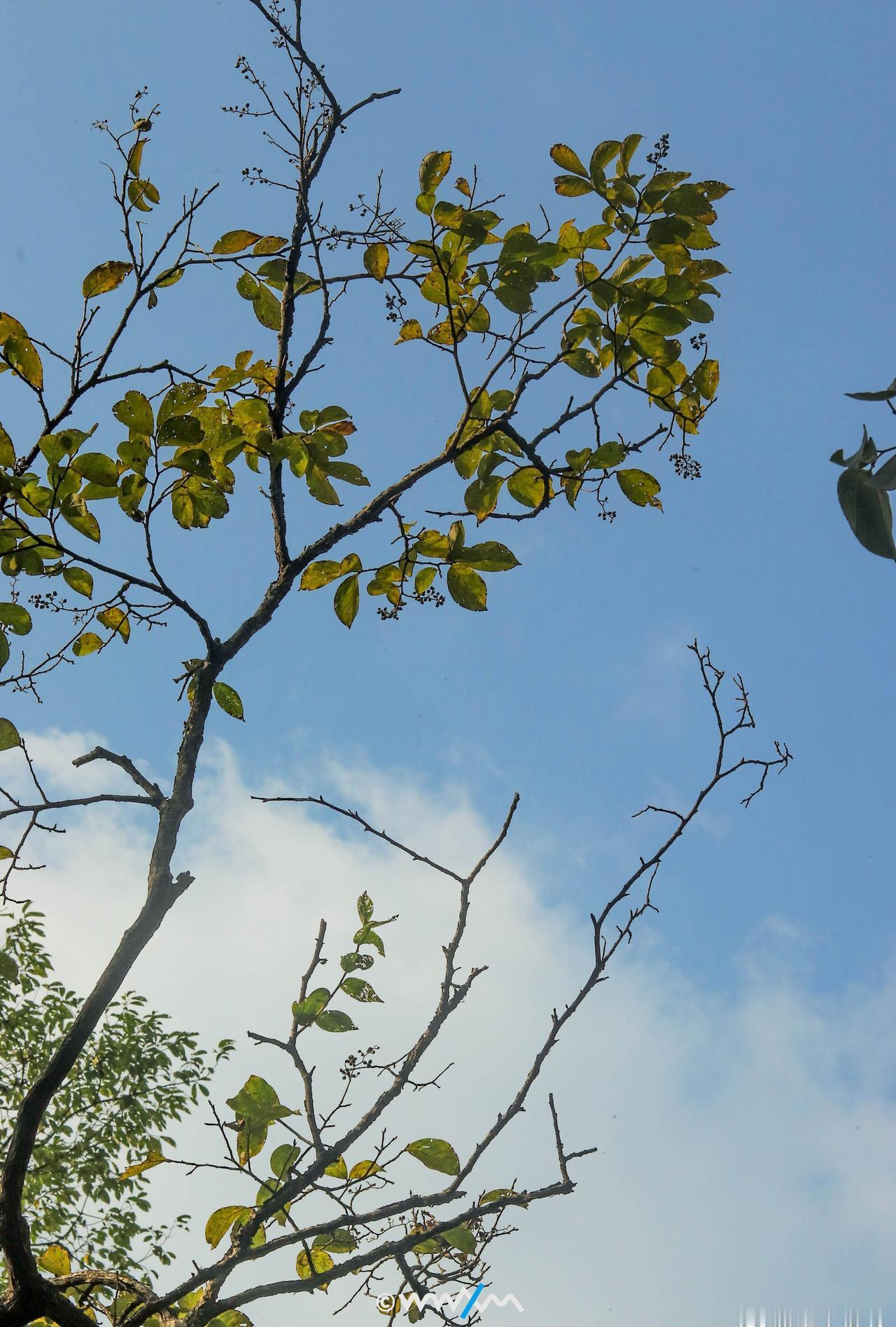 ⛰️武汉秋冬8大登高爬山地！get√
👉马上就要迎来寒冷的冬天了！趁着最近的大