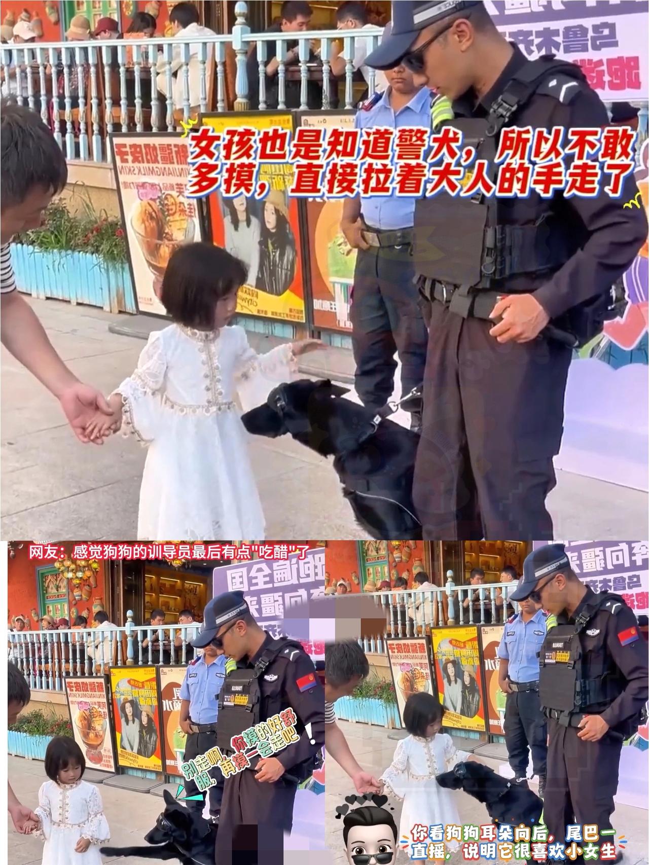 家人们谁懂啊！新疆街头这幕也太暖了，帽子叔叔带着警犬执勤，小女孩忍不住摸了摸狗脑