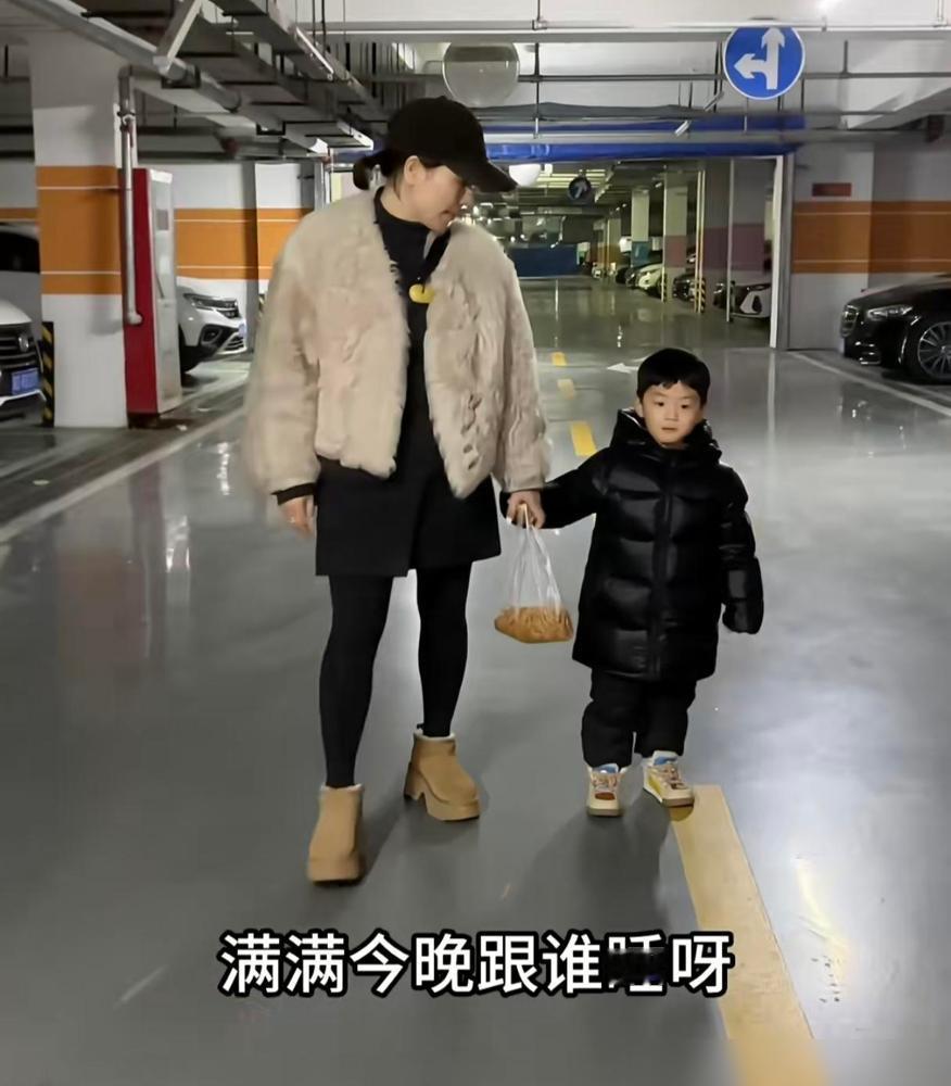 朱进的大姐更新了一期视频，打脸了那些说养家不帮忙带孩子的说法。朱进的大姐说，这两