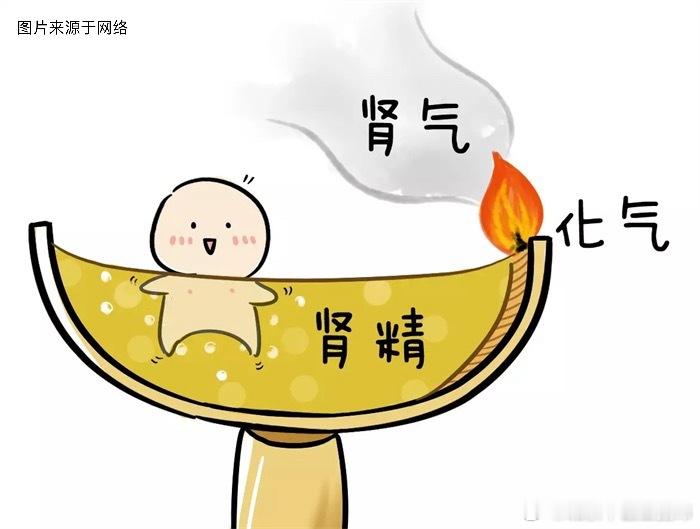 冬至节气养生要点—养肾保暖要藏“精”“冬至”之时是生命活动开始由盛转衰，由动转静