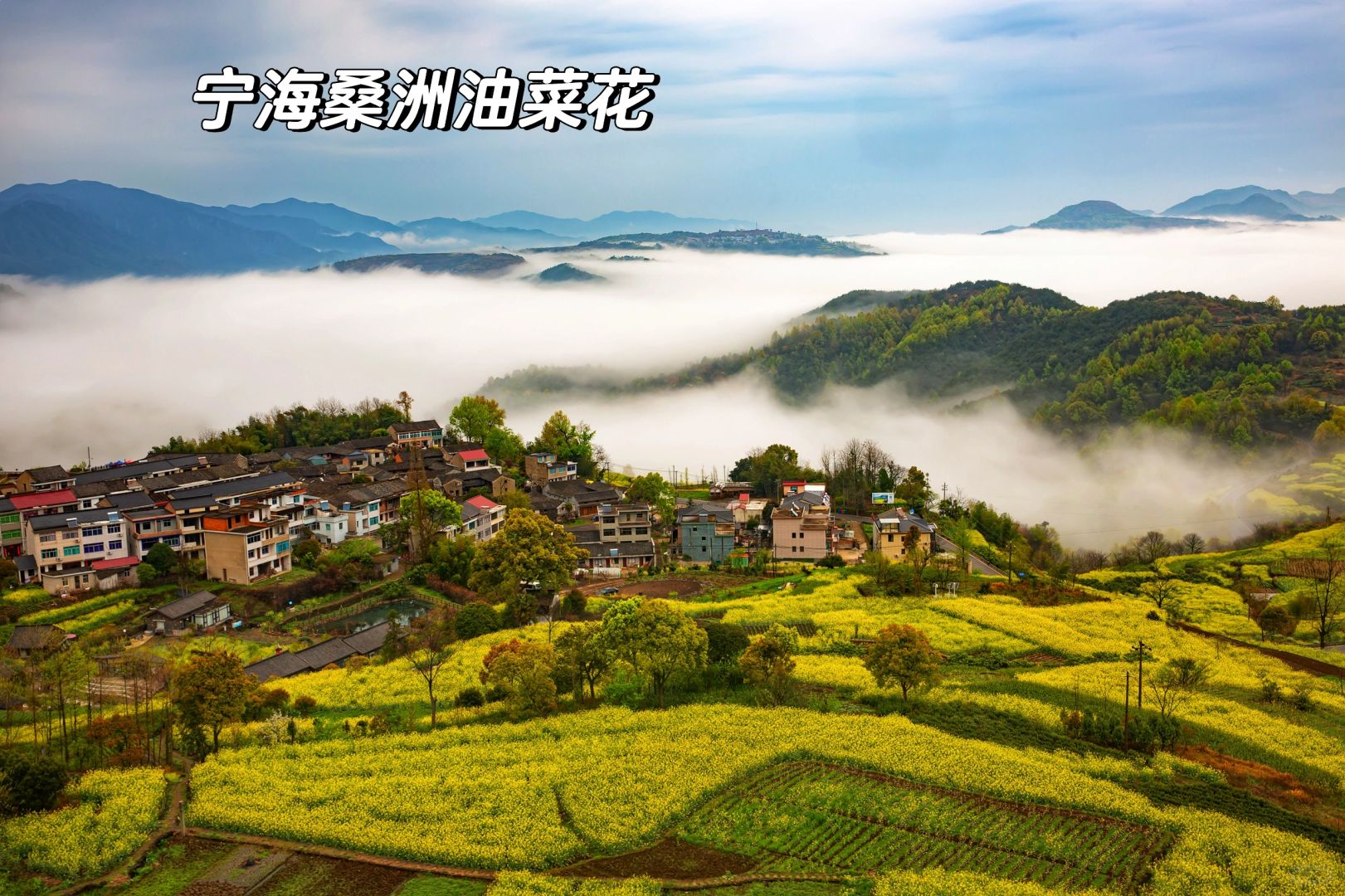梦一样的地方 宁波婺源的油菜花来了