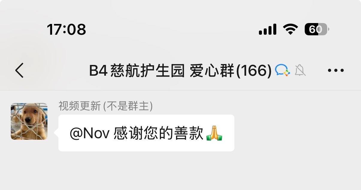 工作的动力之一 为了给毛孩子们捐款 