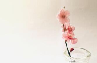 当前任回头追你，哪些星座会选择复合？双子座双子座的人在爱情中还是比较纯真的，他们