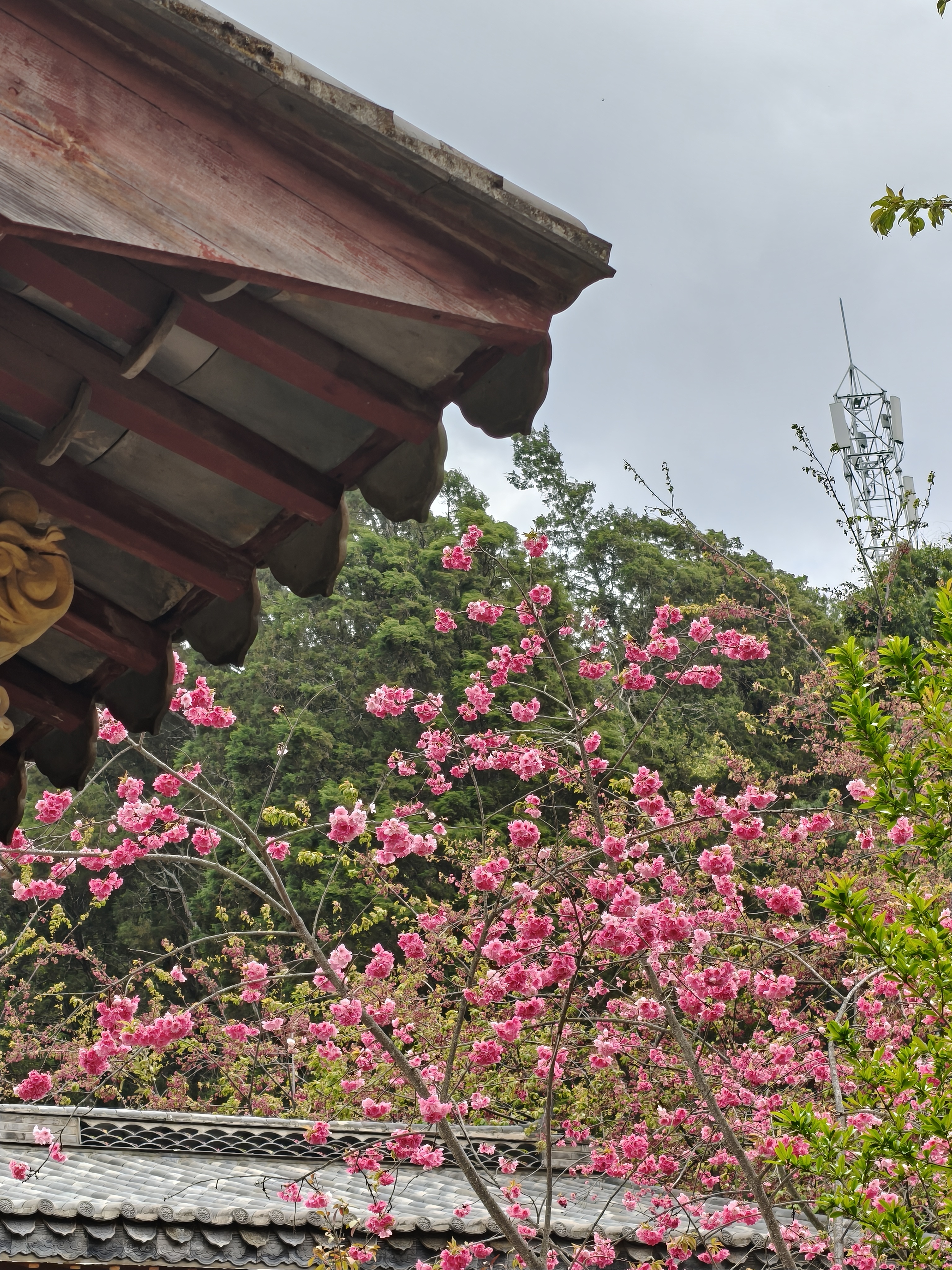 来植物园逛一哈 昆明·丰泽源植物园
