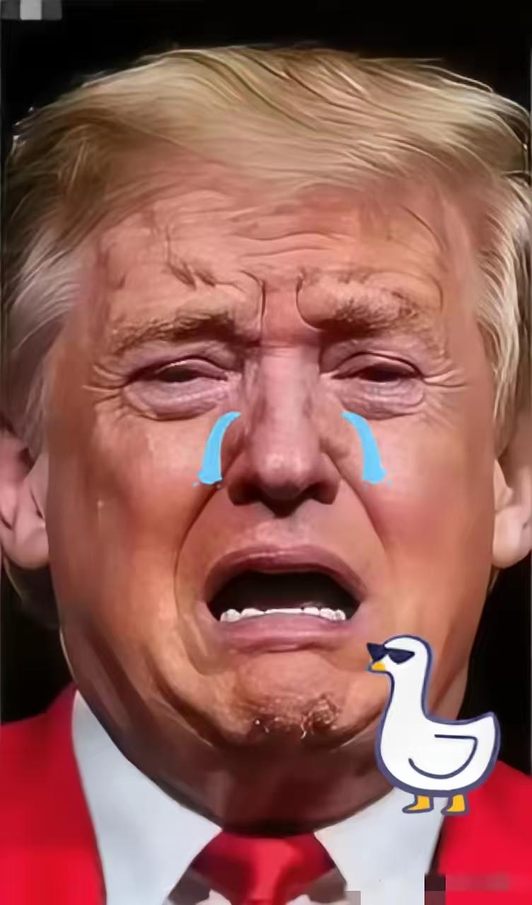 新闻！快讯！
美国参议院领袖宣布了！
2025年11月6日美国，参议院多数党领袖