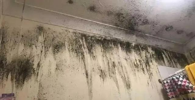 梅雨天开窗还是关窗？千万别搞错了！这几种情况可以开

梅雨季空气湿度飙升，墙面、