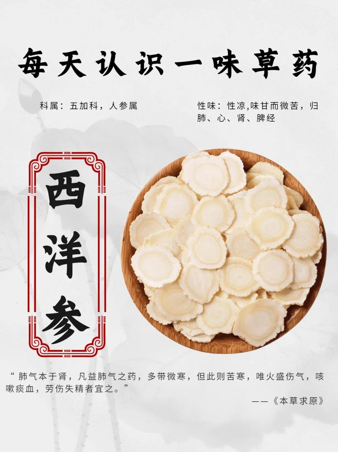 每天认识一味药【西洋参】
💫别名：西洋人参、洋参、美国人参、花旗参、广东参
?