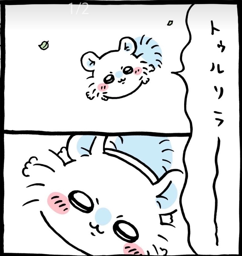 【】这是什么生物，好像一只美西螈23520 