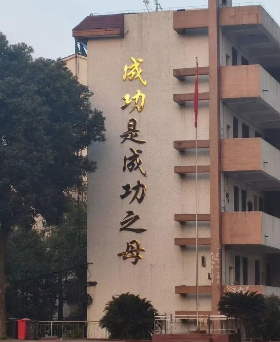 《成功是成功之母》，网上看到的这个标语，这是认真的吗[允悲]