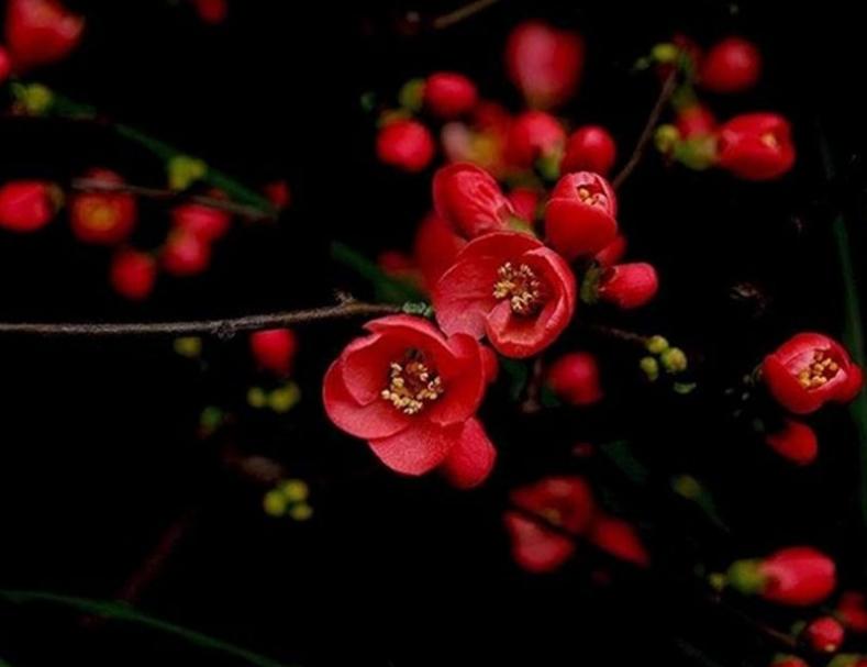 有色金属板块探讨！
本周五，外盘贵金属再度迎来史诗级暴涨。想来这个周末，A股市场