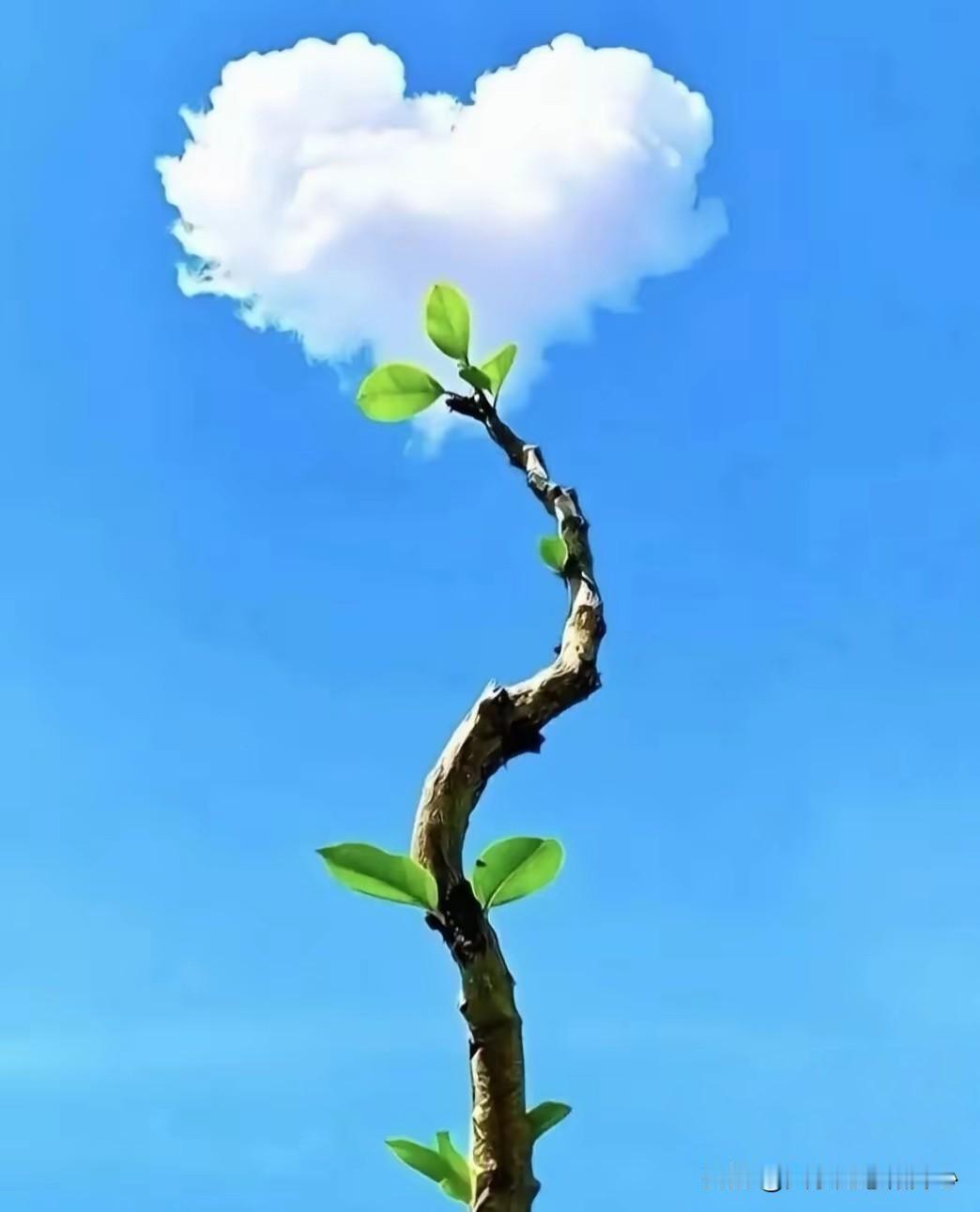 睡前小结：
[微风]今天坚持少看手机，总计没有超过一个小时，眼睛真的似乎好点了。