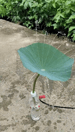 你还别说，
挺好看的。