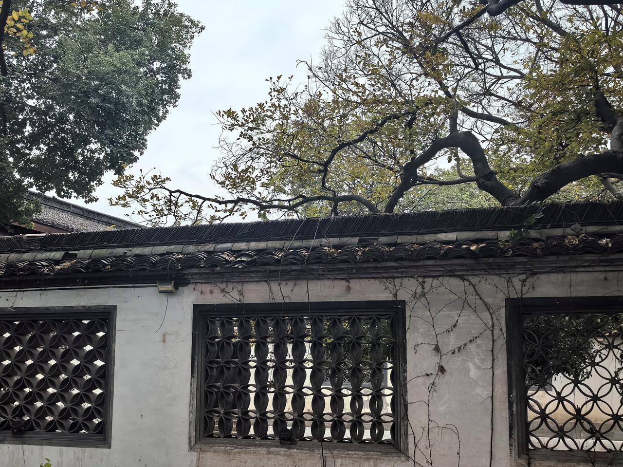 【热评】网络不是法外之地，但也是温情世界
奶奶喜丧女子因朋友少求助网友

“网络