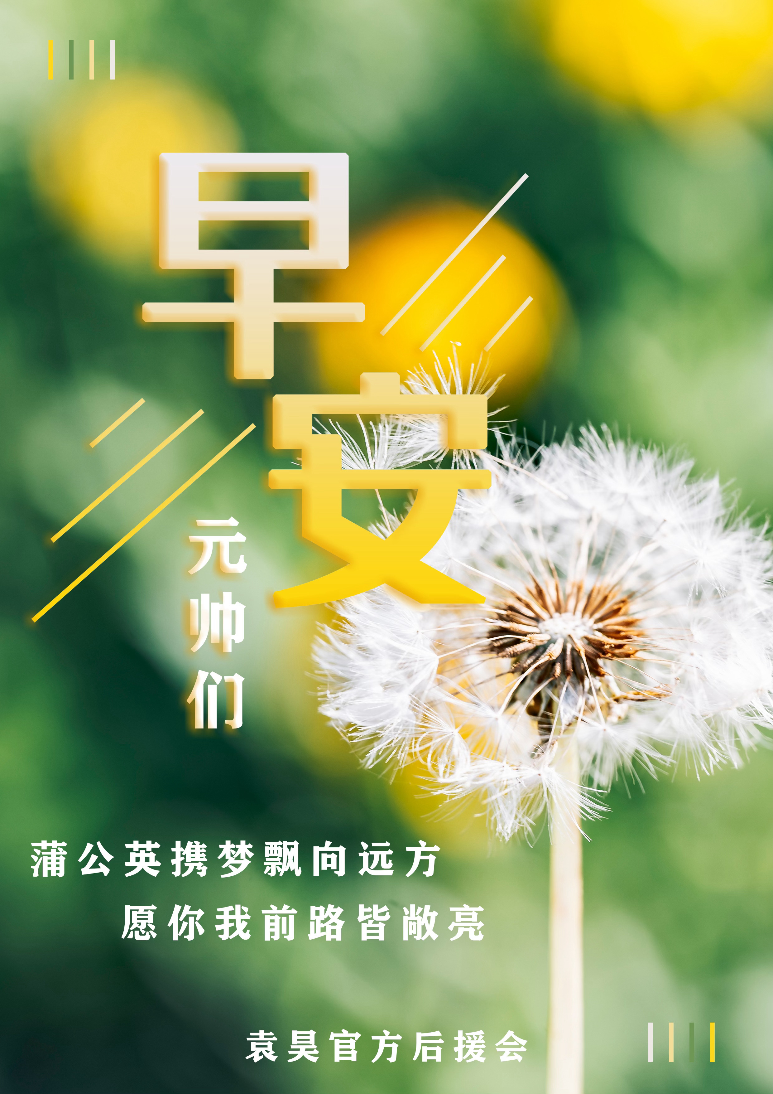 袁昊  早上好☀️周末快乐