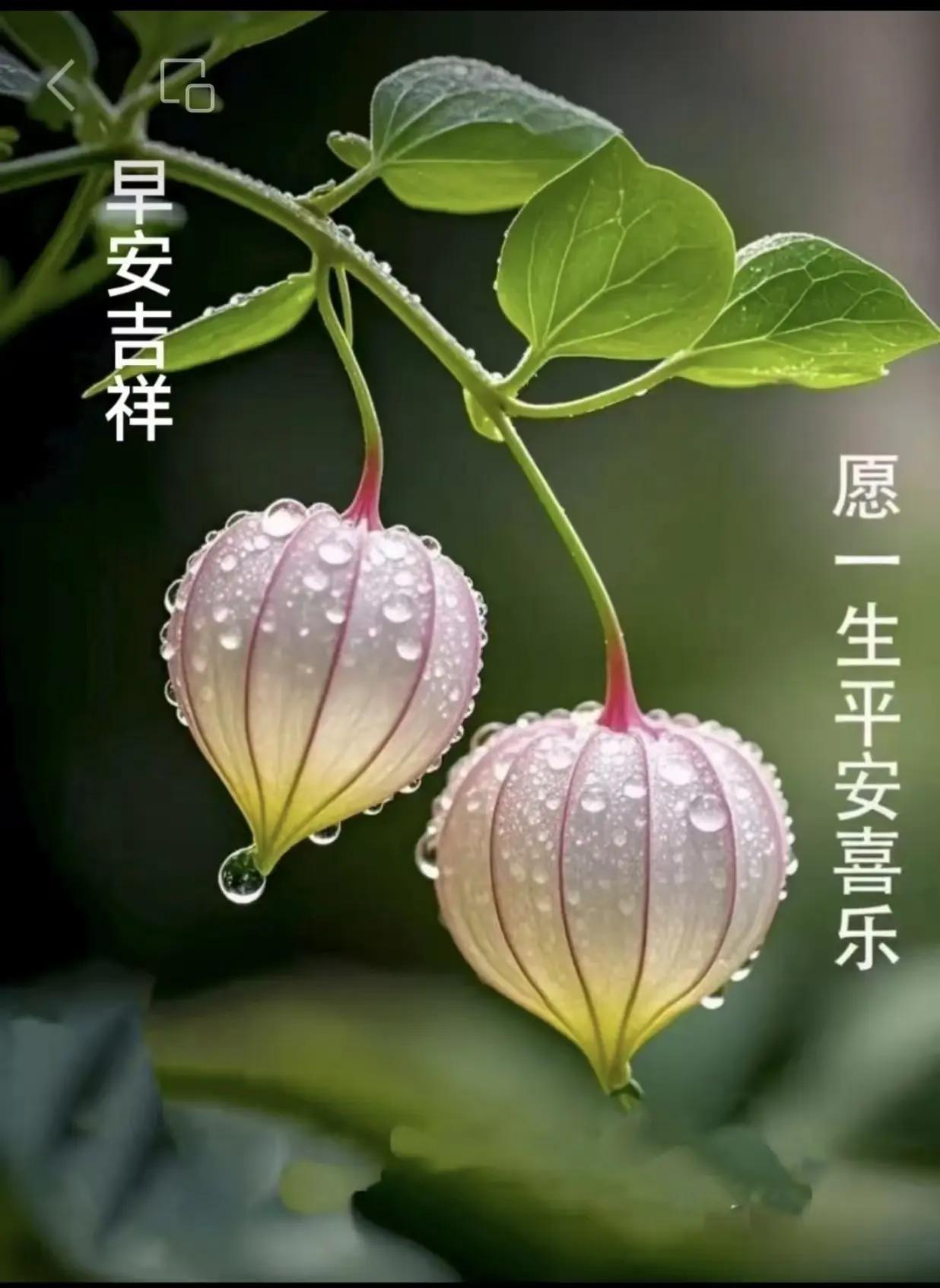 每个孩子都是一颗独特的种子，有的开花早，有的结果晚。与其焦虑别人家孩子的进度，不