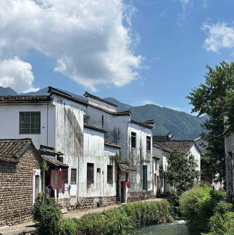 村里有个女人，老公在娃三岁时就瘫痪了，她没改嫁，却开始变得有点喜欢勾搭人，因为很