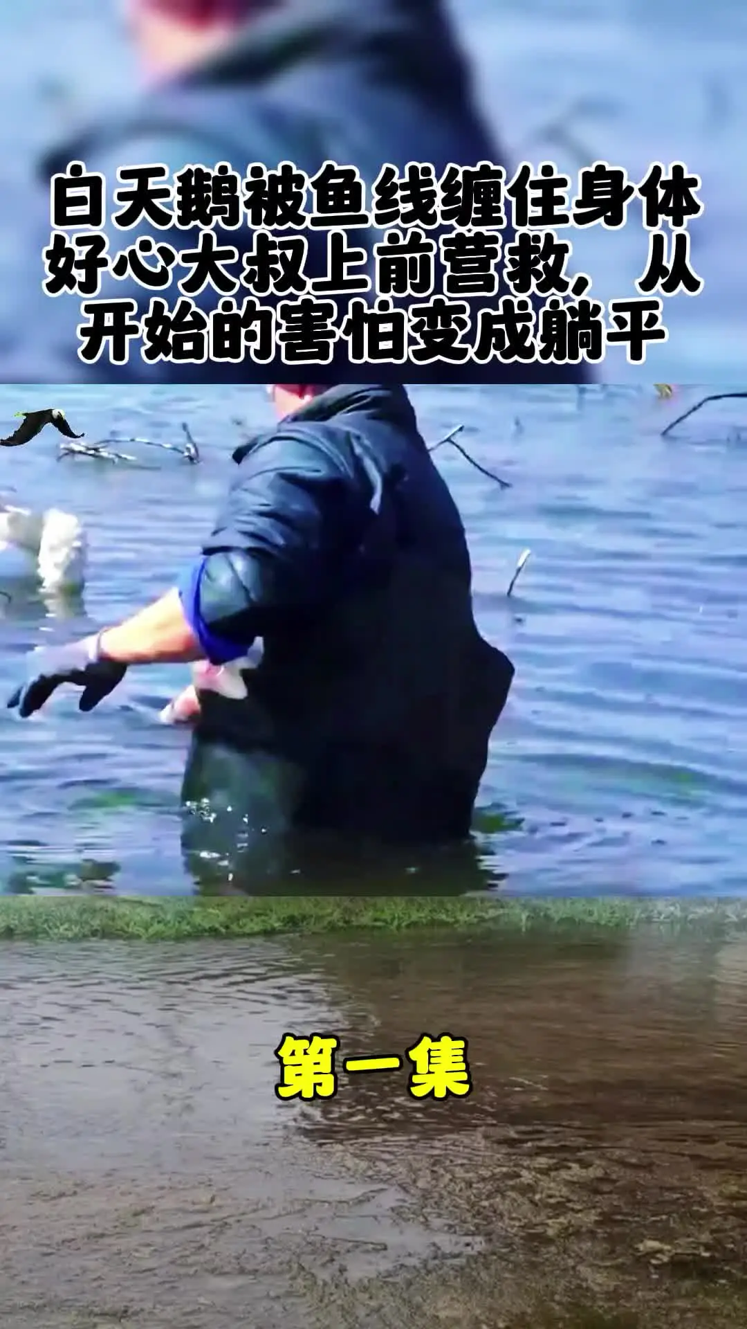 动物世界 内容启发搜索