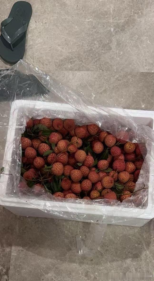 好爱朋友 桂味好好吃 吃上第一份桂味 ​​​