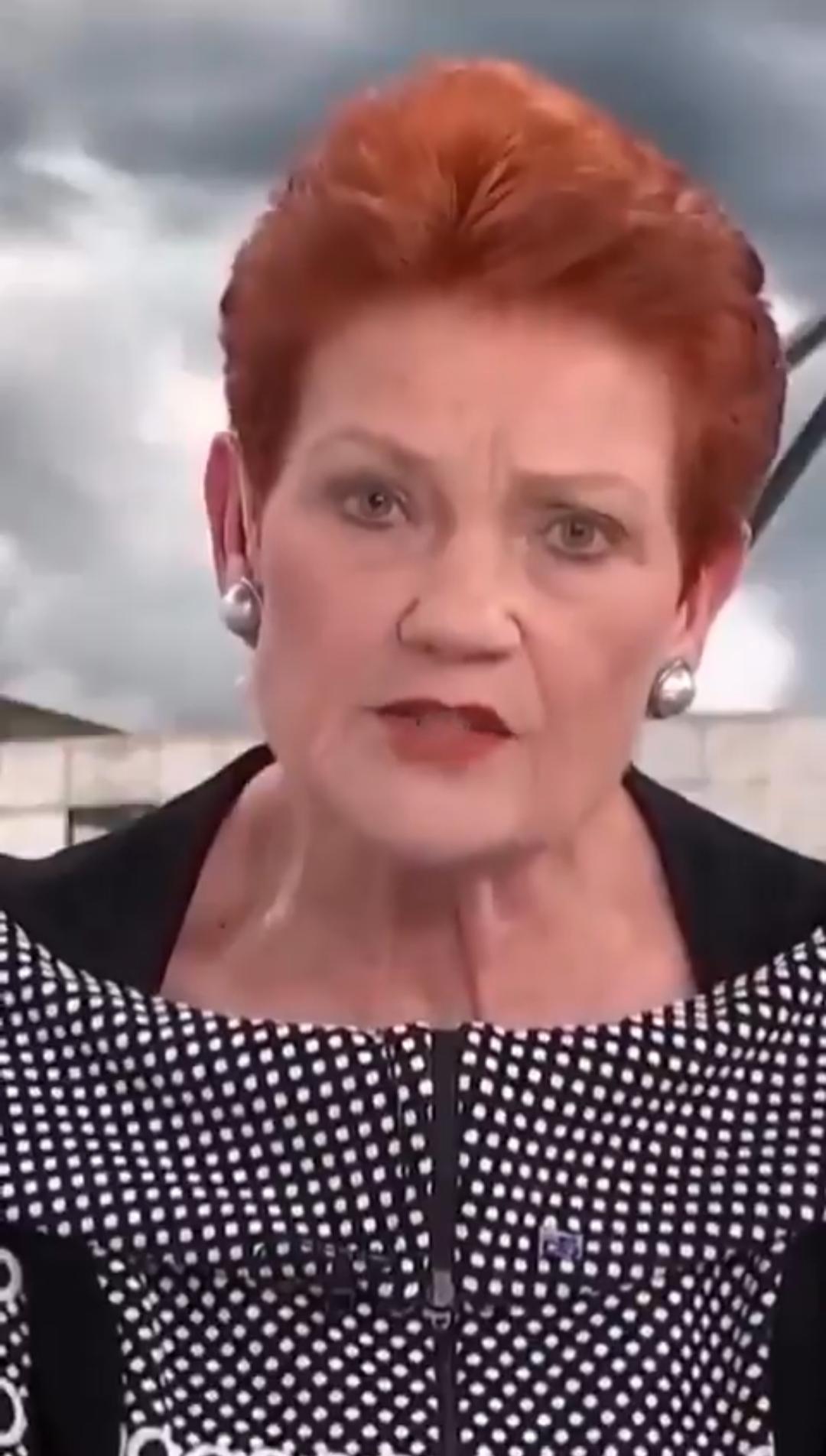 澳大利亚反移民党派崛起
保罗·汉森的反移民党派“一国党”在2025年5月澳大利亚