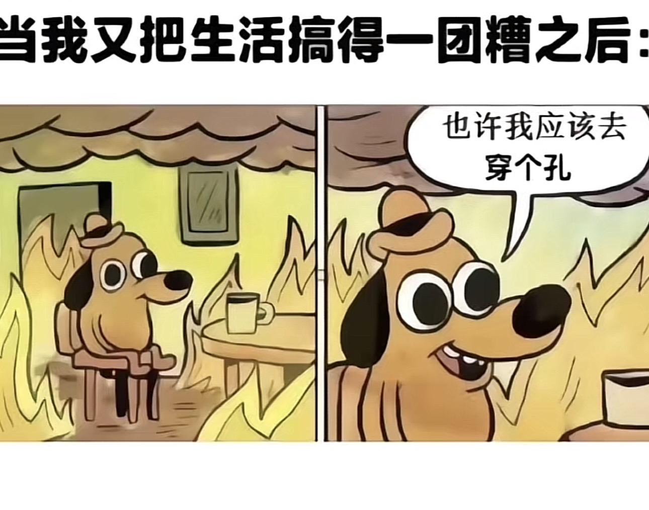 猪肝这一块/.