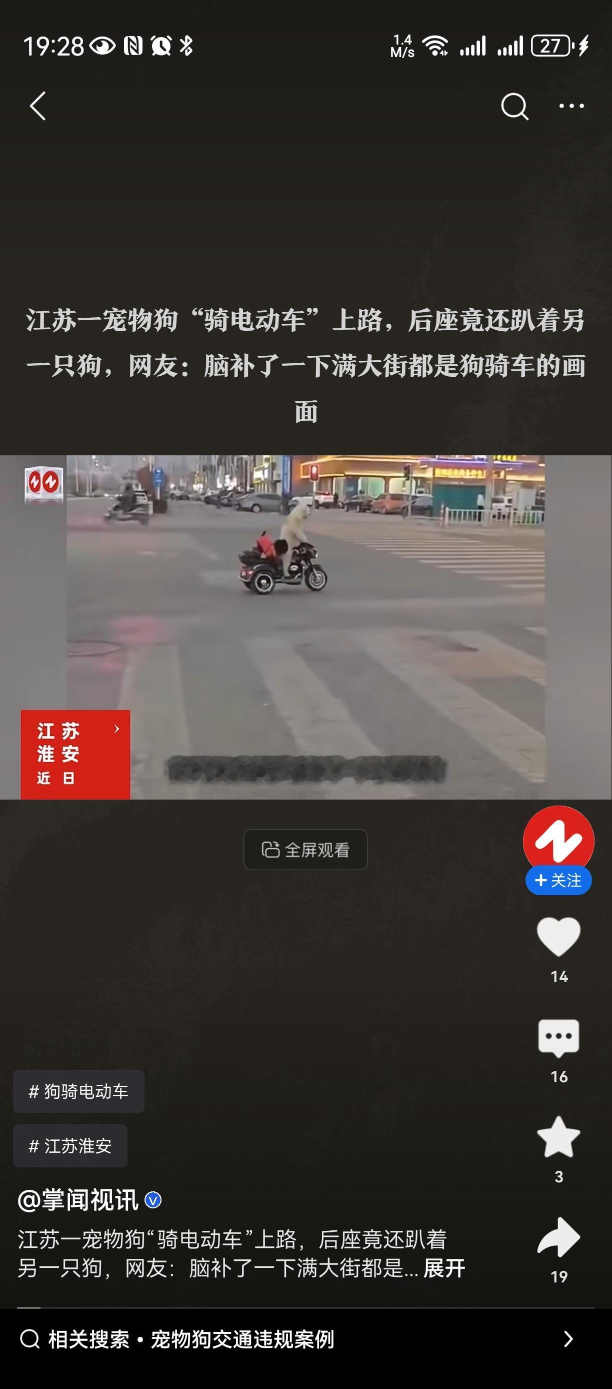 中国特色：猫狗地位高之狗🐶开车🚗无绳恶狗伤人 
狗驾驶车辆带狗上路[捂脸]